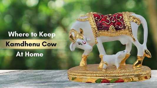 where to keep kamdhenu cow at home, which direction to keep kamdhenu cow, where to place kamdhenu cow in house,