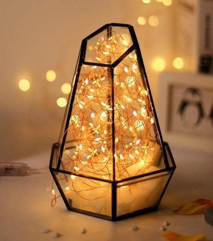 Portable LED String Fairy Lights