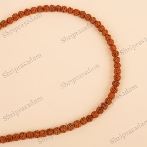 Authentic Panchamukhi Rudraksha Mala