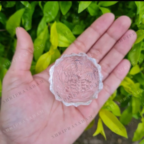 Kamal Shri Yantra for Maa Laxshmi