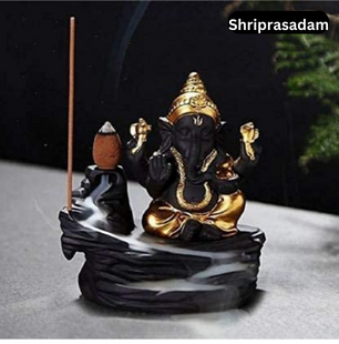Lord Ganesha Smoke Backflow Cone Incense
