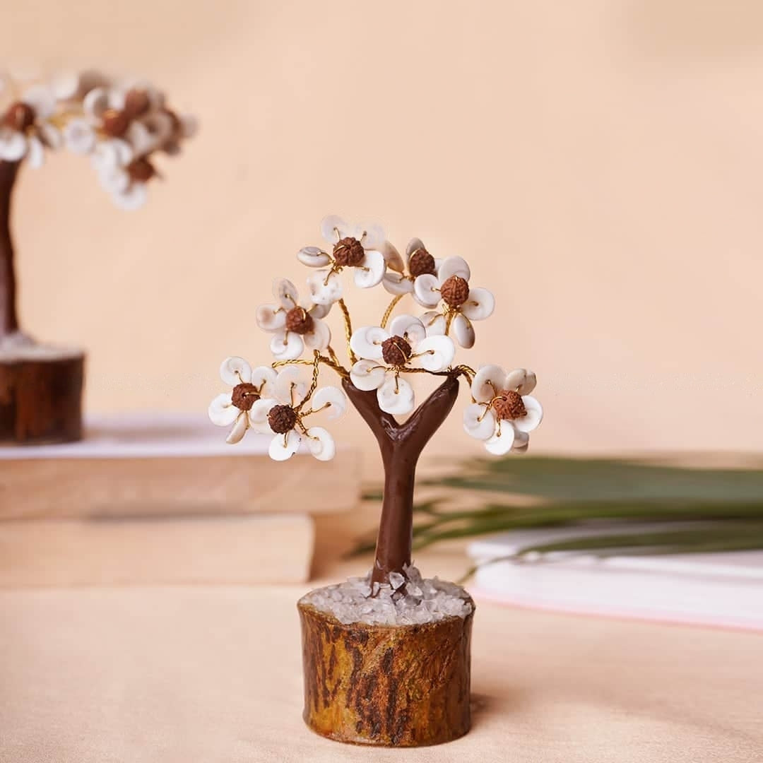 Gomti Chakra Rudraksha Tree