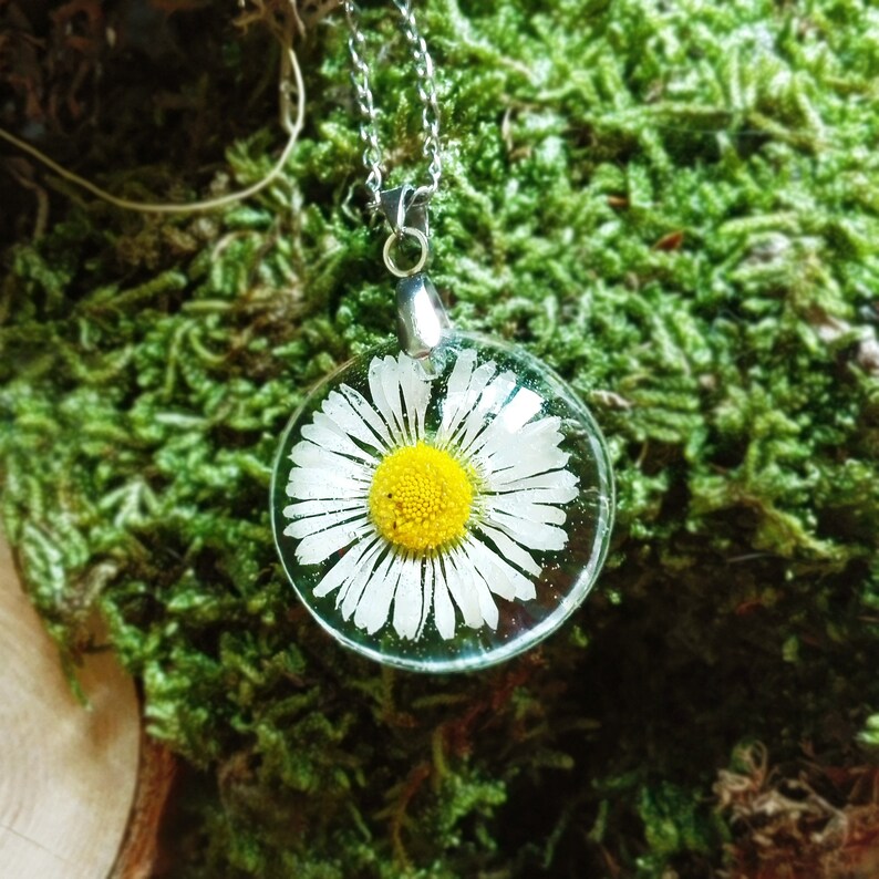 Daisy  Real  flower necklace